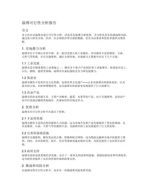 淄博可行性分析报告