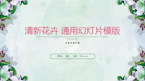 美观大方幻灯片模板 (30)