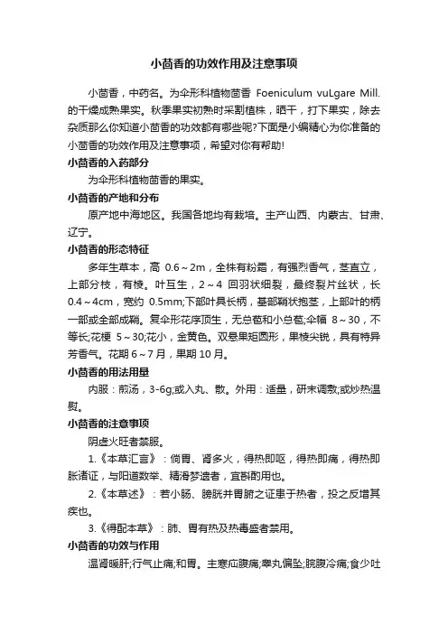 小茴香的功效作用及注意事项