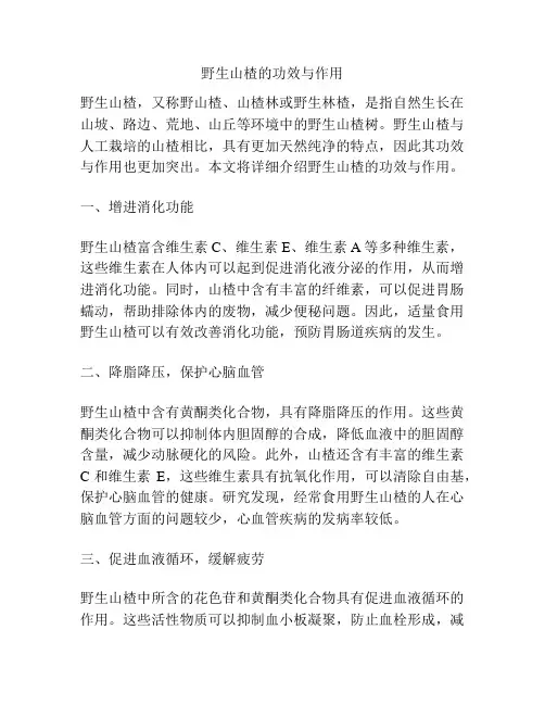 野生山楂的功效与作用