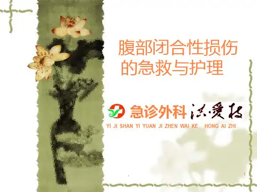 腹部闭合性损伤的观察与护理ppt课件