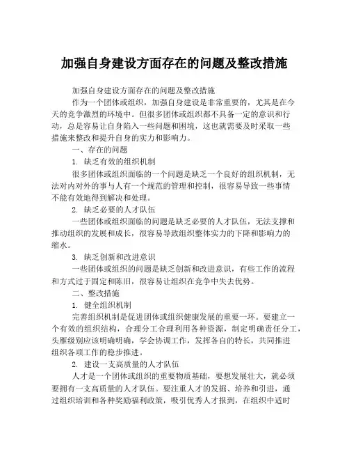 加强自身建设方面存在的问题及整改措施