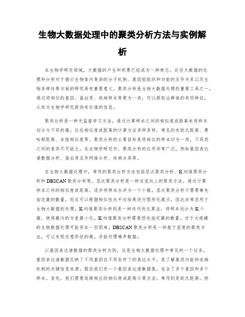 生物大数据处理中的聚类分析方法与实例解析