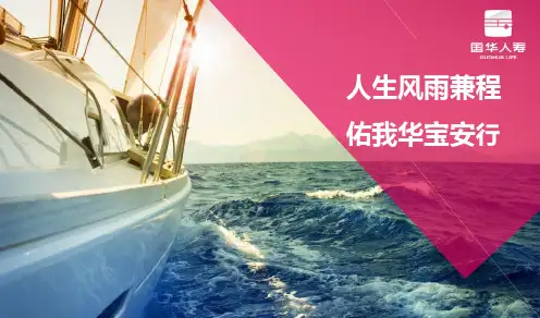 国华华宝安行背景产品介绍案例分析无忧销售31页