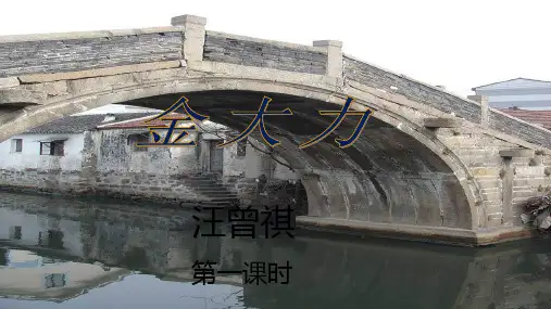 《金大力》