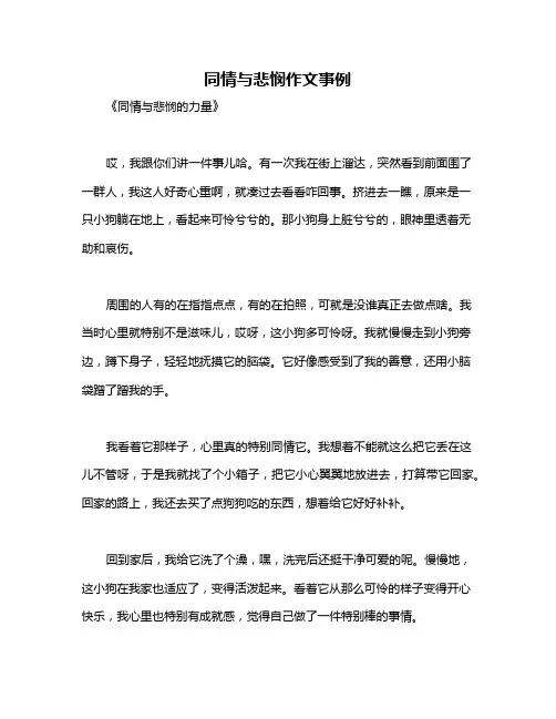 同情与悲悯作文事例