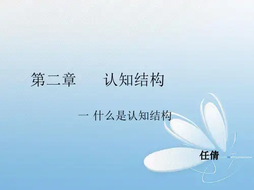 认知结构