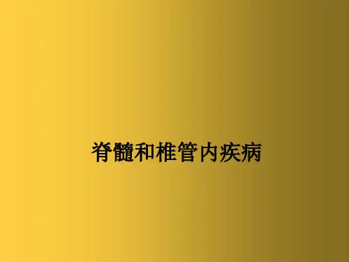 椎管内疾病CT、MRI诊断