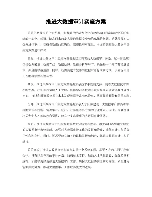 推进大数据审计实施方案