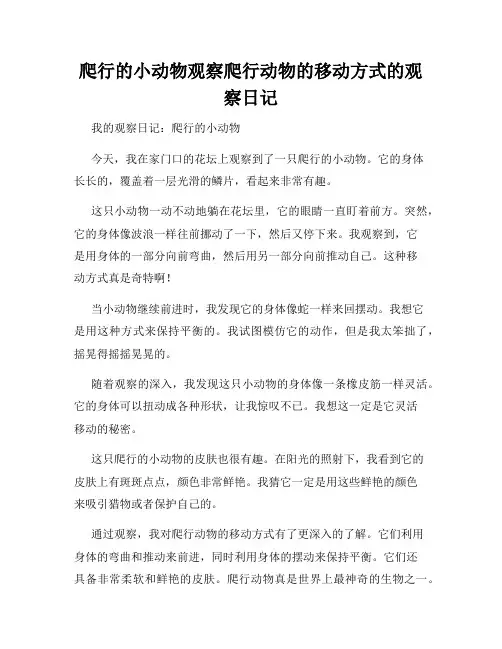 小学三年级作文爬行的小动物观察爬行动物的移动方式的观察日记
