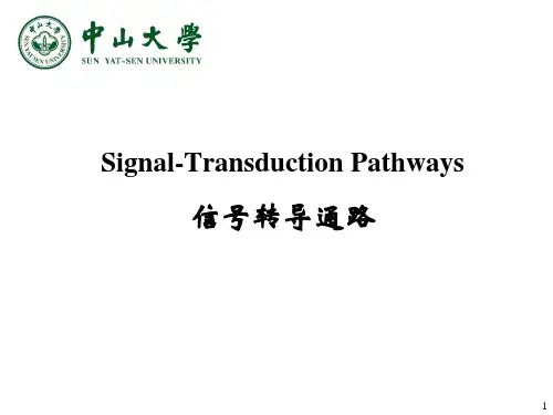 生物化学教学课件：信号转导通路