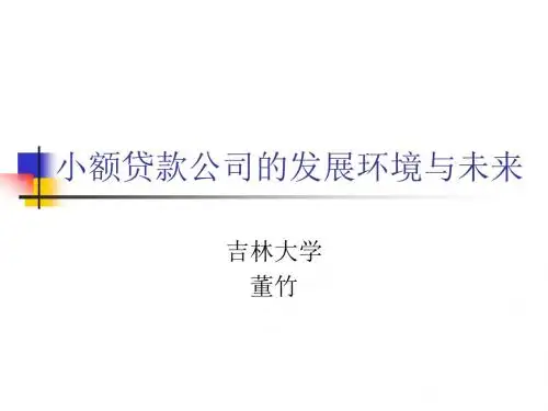 小额贷款公司的发展环境与未来