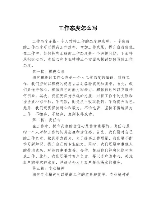 工作态度怎么写2篇