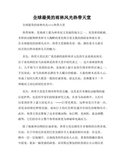 全球最美的雨林风光热带天堂
