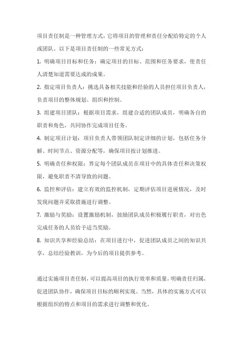 项目责任制方式