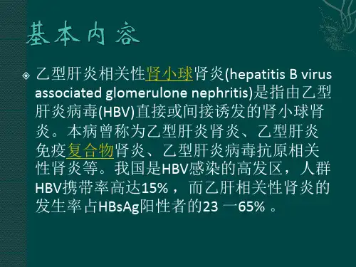 乙肝相关性肾炎ppt课件