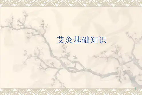 艾灸基础知识ppt课件
