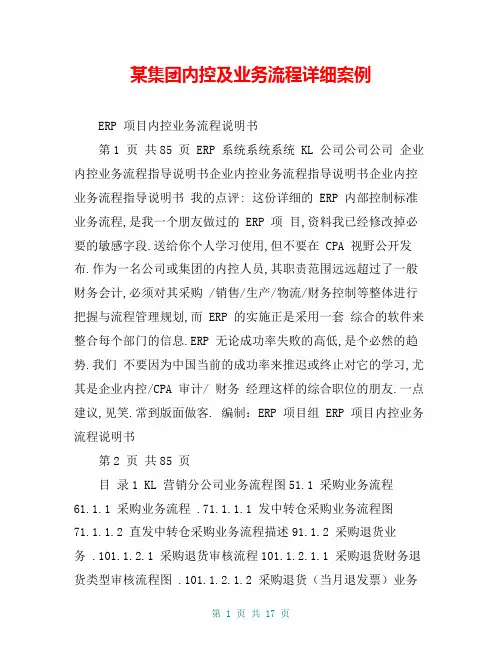 某集团内控及业务流程详细案例