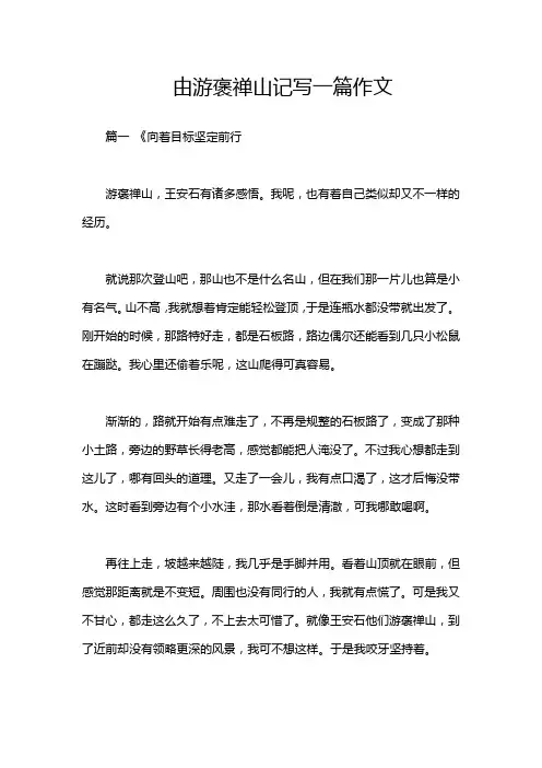 由游褒禅山记写一篇作文