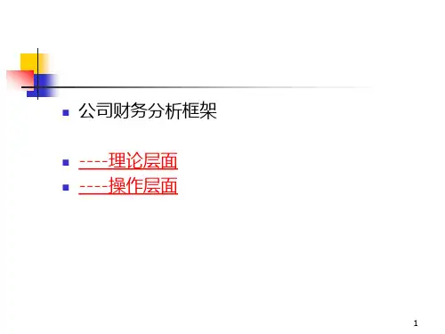 《公司财务分析框架》页PPT课件