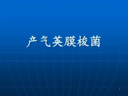 产气荚膜梭菌ppt课件