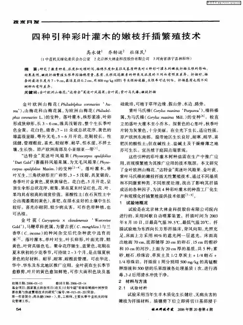 四种引种彩叶灌木的嫩枝扦插繁殖技术