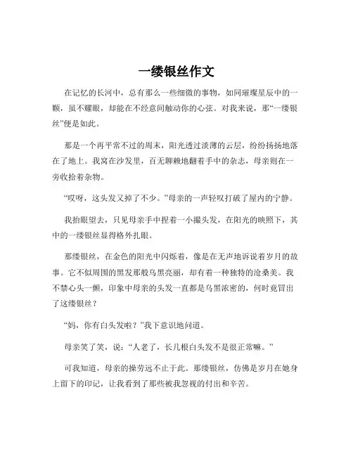 一缕银丝作文