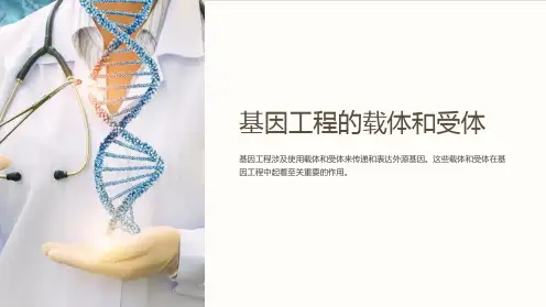 基因工程的载体和受体