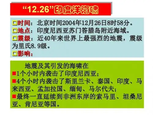 1226印度洋海啸(精)