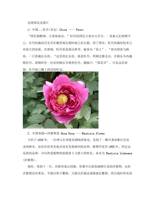 各国国花及图片