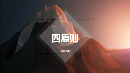 高效执行4原则(PPT39页)