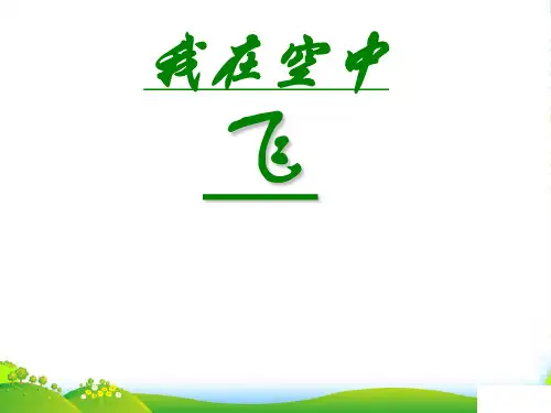 人教版一年级美术：我在空中飞 3-优质课件