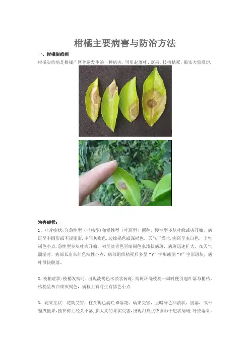 柑橘主要病害与防治方法
