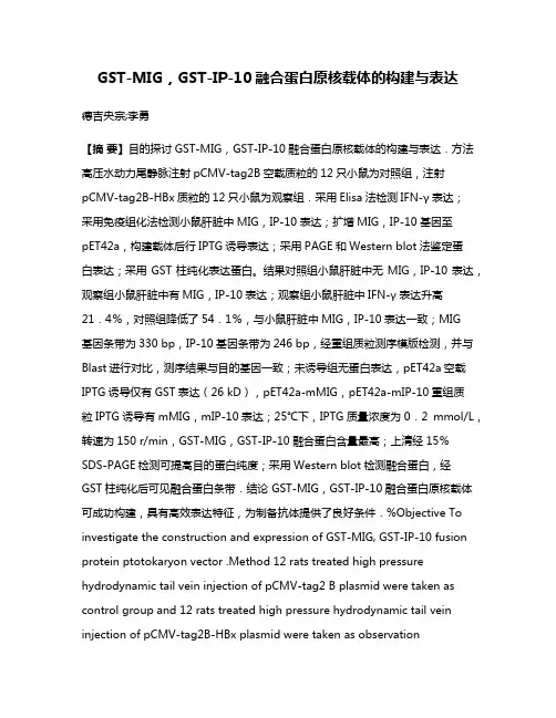 GST-MIG，GST-IP-10融合蛋白原核载体的构建与表达