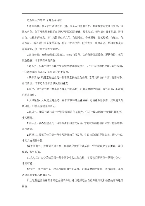 适合新手养兰的12个建兰品种