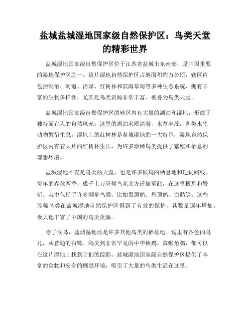 盐城盐城湿地国家级自然保护区：鸟类天堂的精彩世界