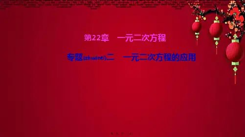 九年级数学上册 第22章 一元二次方程 专题二 一元二次方程的应用课件华东师大级上册数学课件