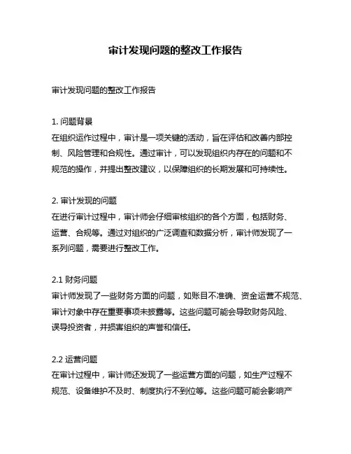审计发现问题的整改工作报告