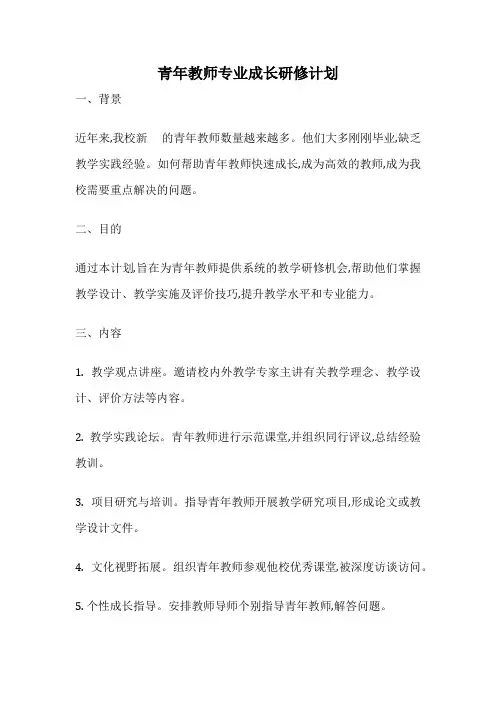青年教师专业成长研修计划