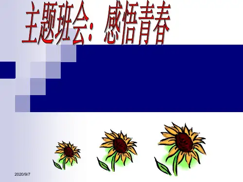 主题班会：感悟青春