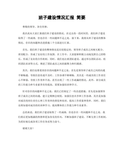 班子建设情况汇报 简要
