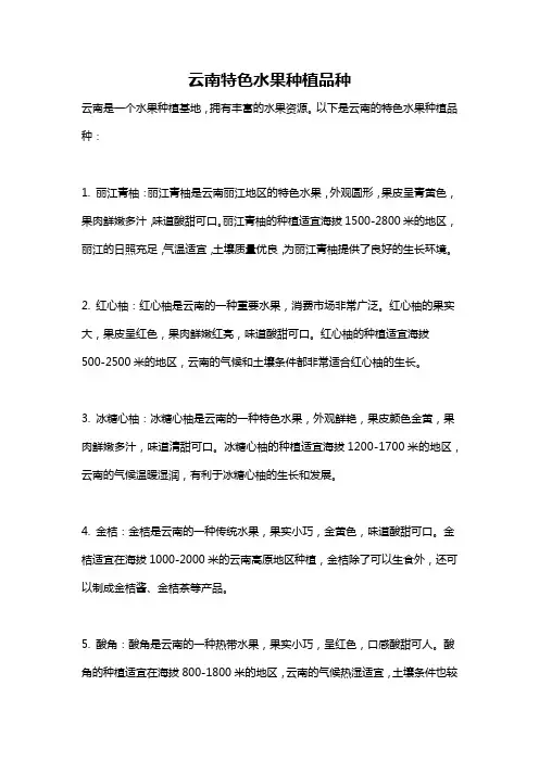 云南特色水果种植品种