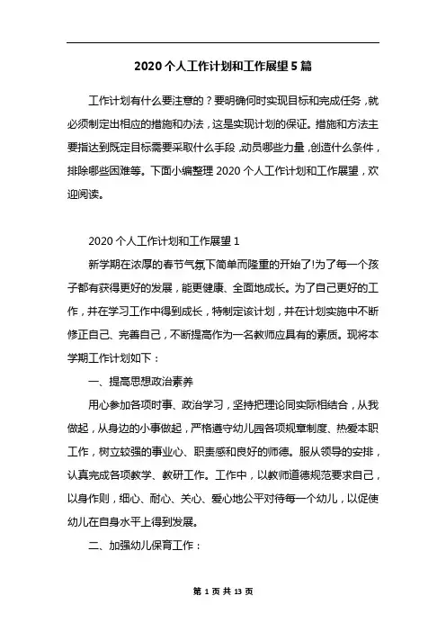 2020个人工作计划和工作展望5篇