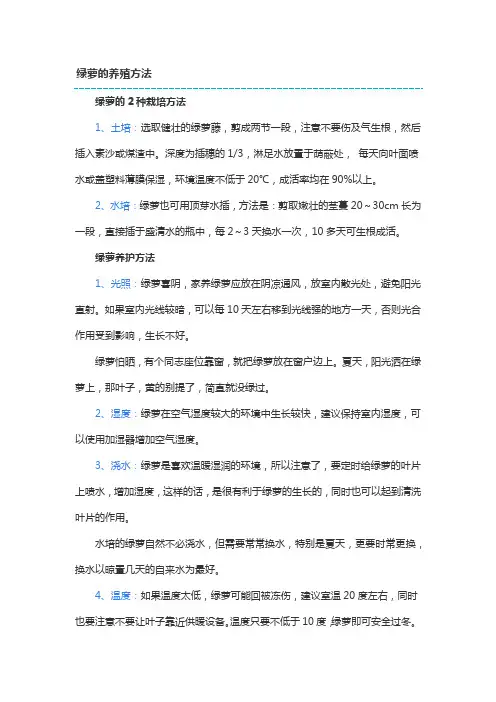 绿萝的养殖方法和防护