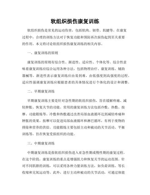 软组织损伤康复训练
