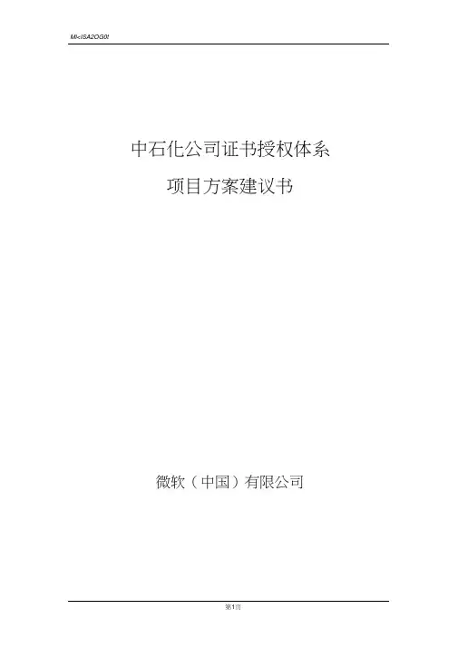 中石化CA项目方案建议书