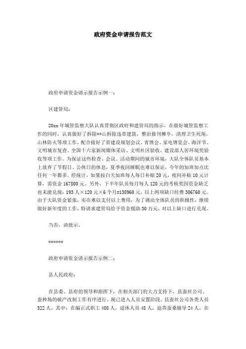 政府资金申请报告范文-总结报告模板