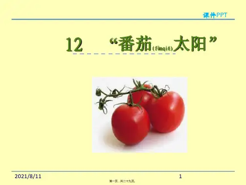 苏教版四年级下册12番茄太阳课件