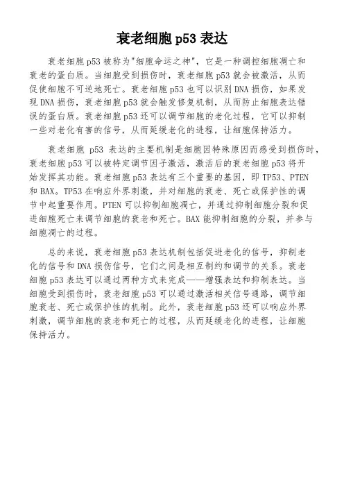 衰老细胞p53表达