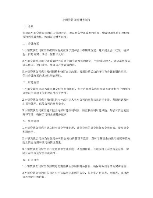 小额贷款公司 财务制度